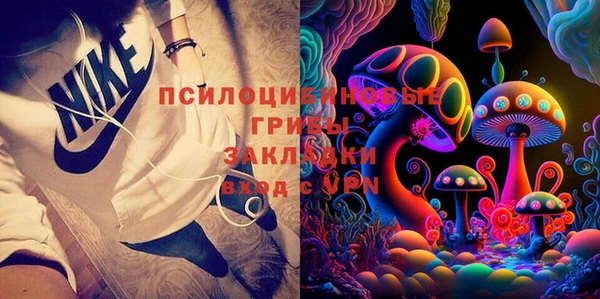 прущая мука Алзамай