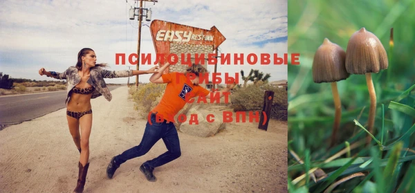 MESCALINE Нефтекумск