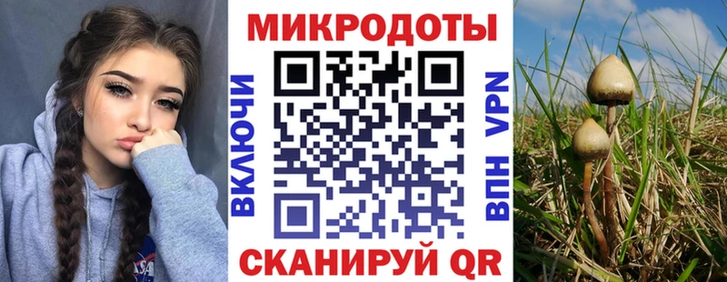 Галлюциногенные грибы мицелий  Николаевск 